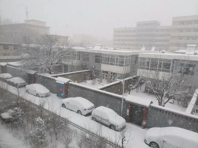 大雪飘飘打一成语