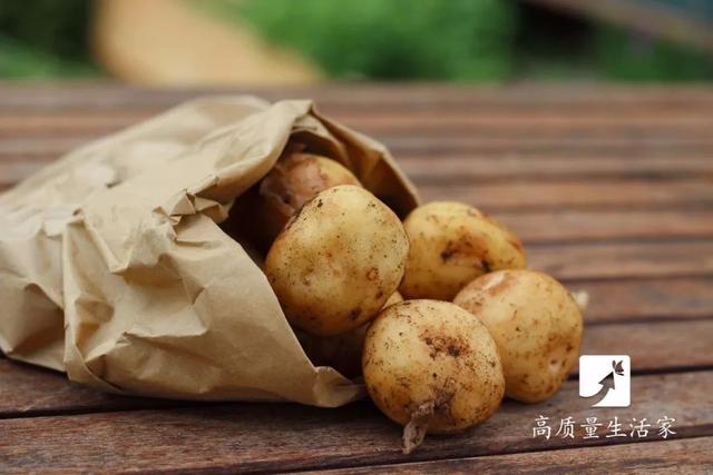 这5种食物不要放冰箱，可能会加速变质