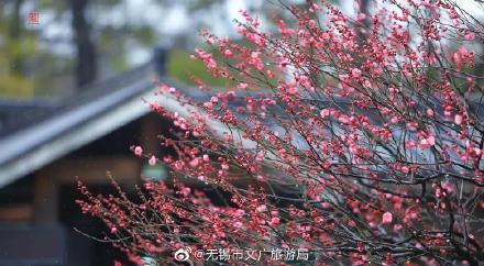 无锡洗砂机参数