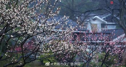 无锡洗砂机参数