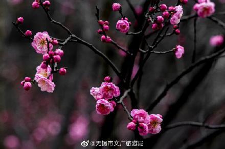无锡洗砂机参数
