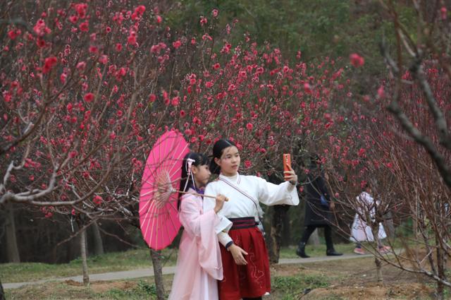 桃花是什么季节开的