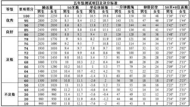 坐位体前屈评分标准