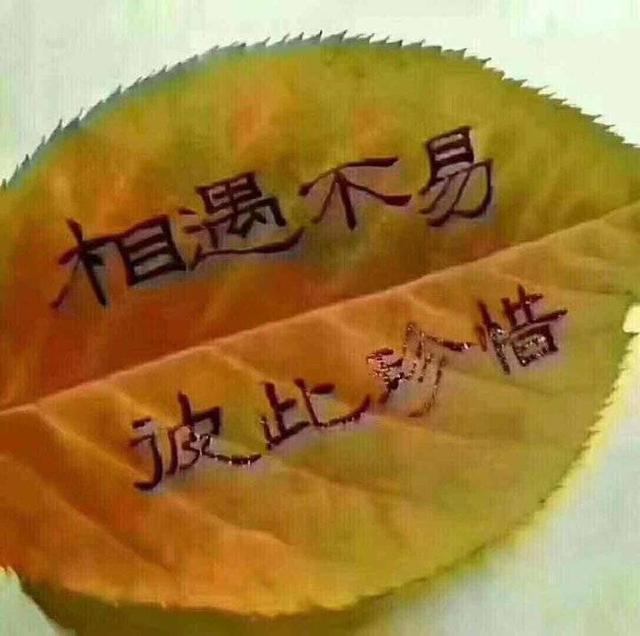 相互珍惜吧
