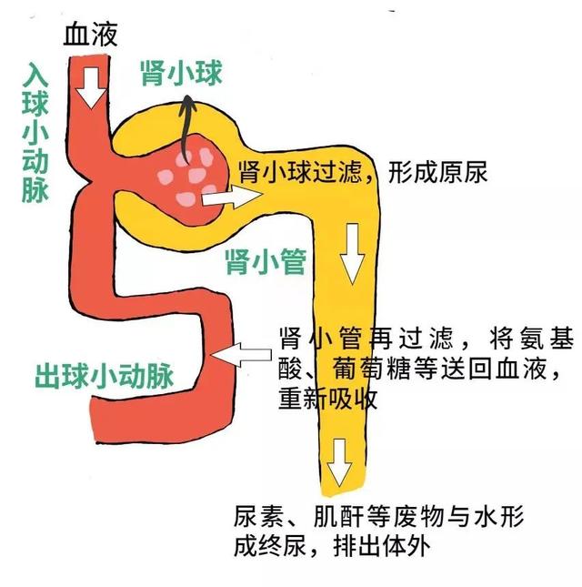 板框过滤机每一框滤液穿过