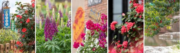 灰姑娘穿越古代拉着王爷吃野餐（灰姑娘穿越回古代）