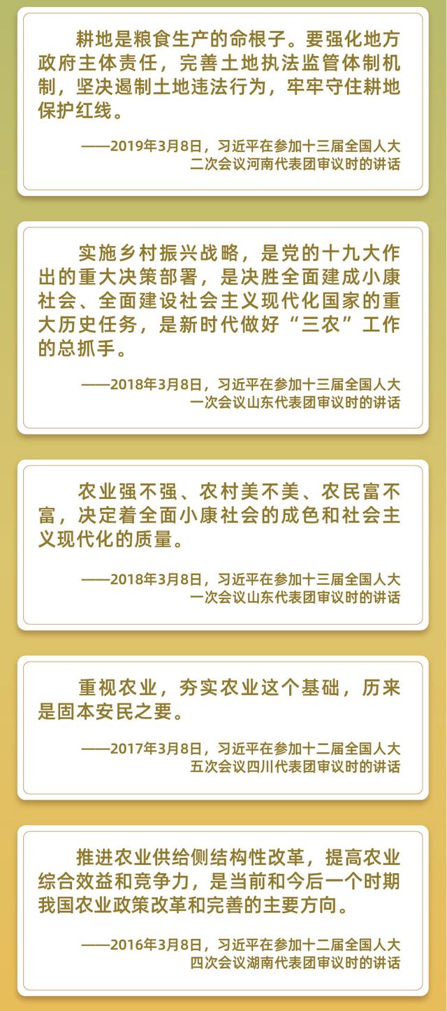 把乡村振兴战略作为新时代“三农”工作总抓手
