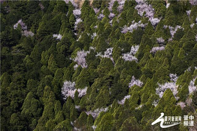 乌金山（乌金山镇河口村）