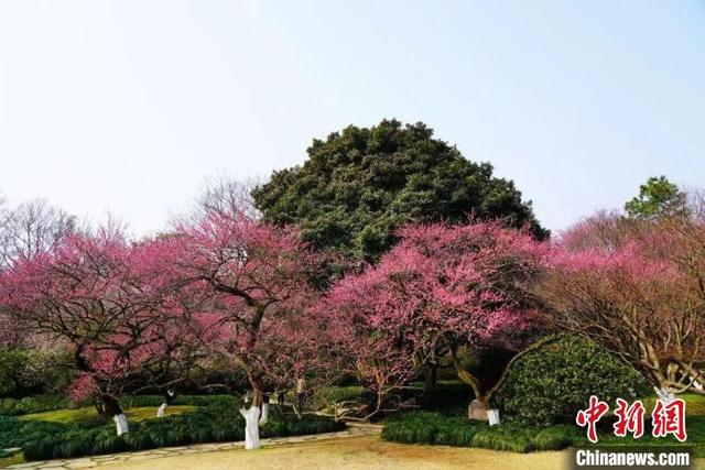 杭州西湖在哪里