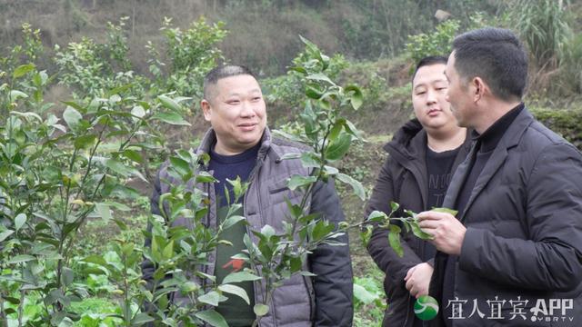 春到三江耕种忙丨春华不负，秋实可期！13