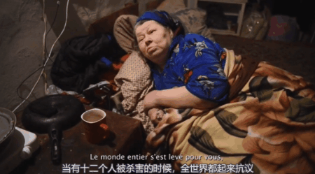 那位讲出顿巴斯真相的法国女记者，早在15年拍的纪录片终于被看到了