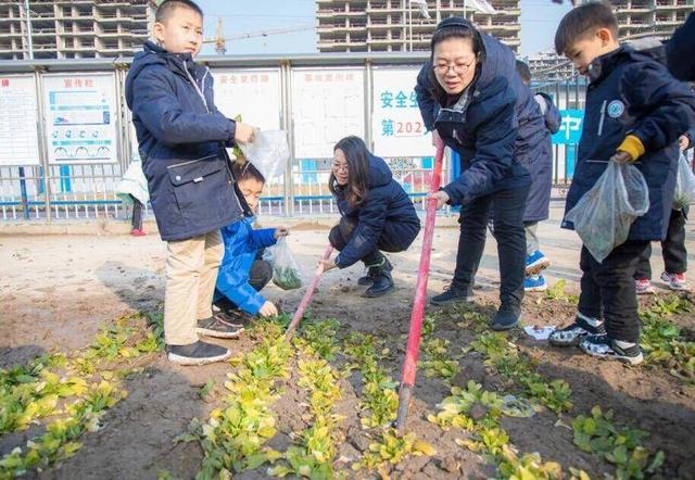 为学生成长赋能！潍坊这所学校探索新时代劳动教育新模式
