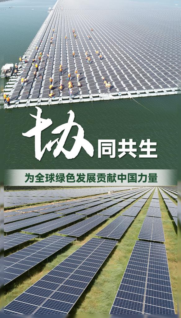 聚焦于“协”，增进全球绿色协调可持续发展的经济学——习近平经济思想的世界启示述评之四