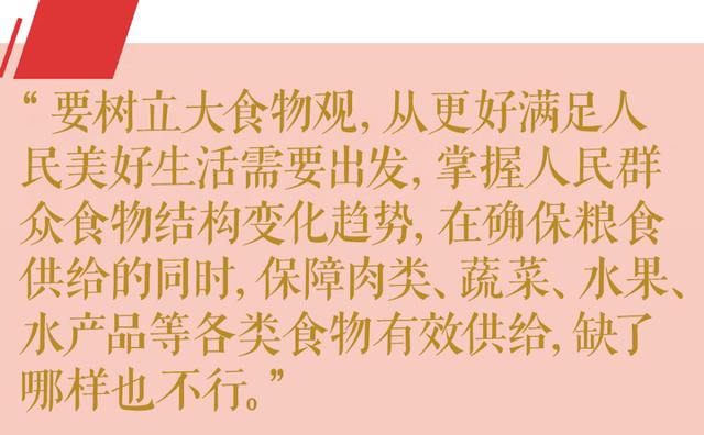第1视点丨这个“国之大者”总书记念兹在兹