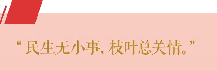 第1视点丨习近平：民生无小事 枝叶总关情