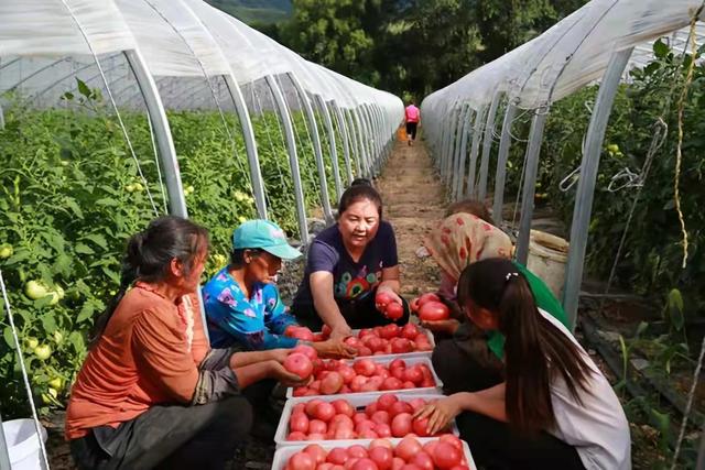 「我向总书记“晒”家常」电话越是忙线 我越感觉踏实