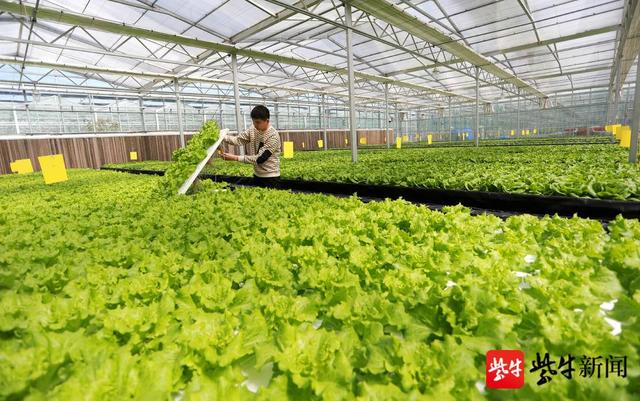 江苏矿山全自动洗砂机用途