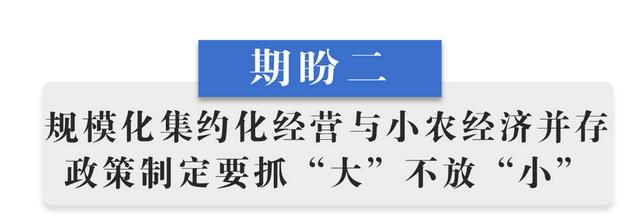 半月谈丨乡村振兴“十二盼”！来自8省24村的蹲点报告-第4张图片-9158手机教程网