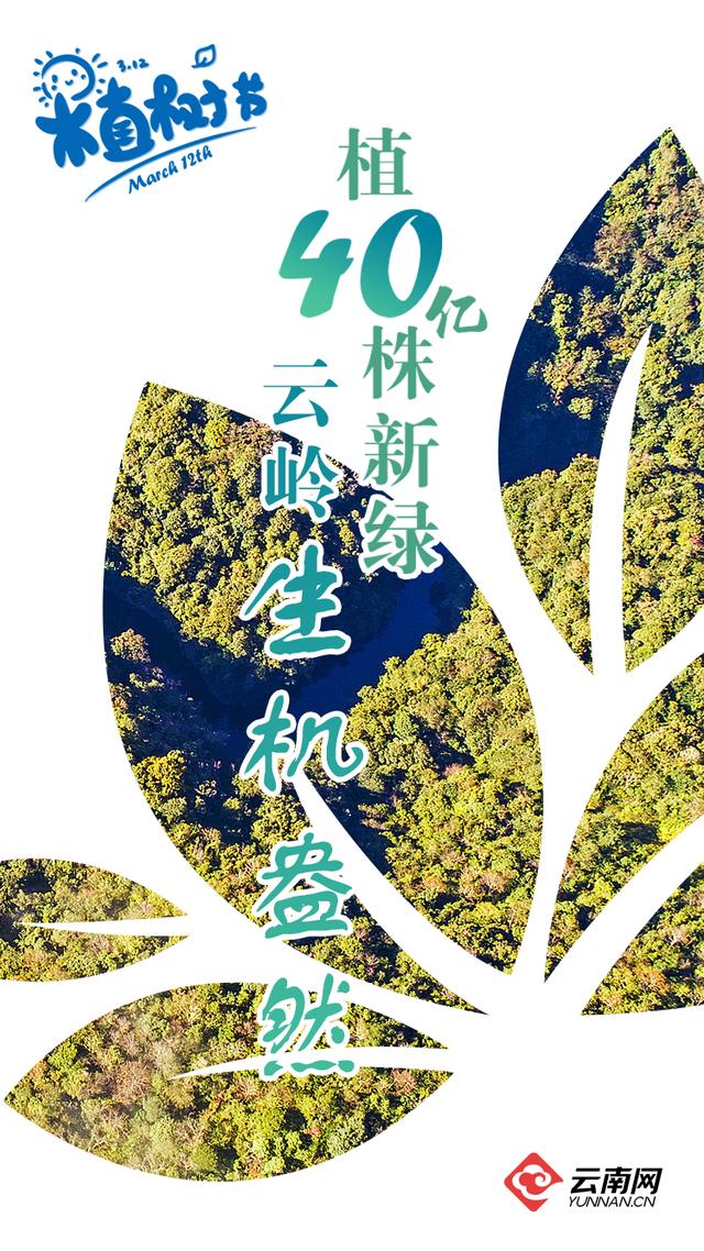 良种站轶事全本txt(良种站轶事)