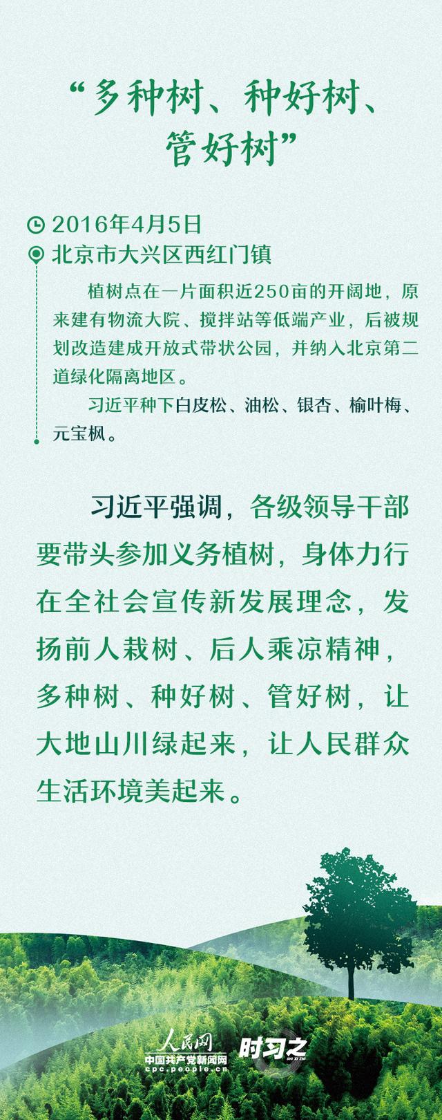 多种树 种好树 习近平厚“植”绿色期望