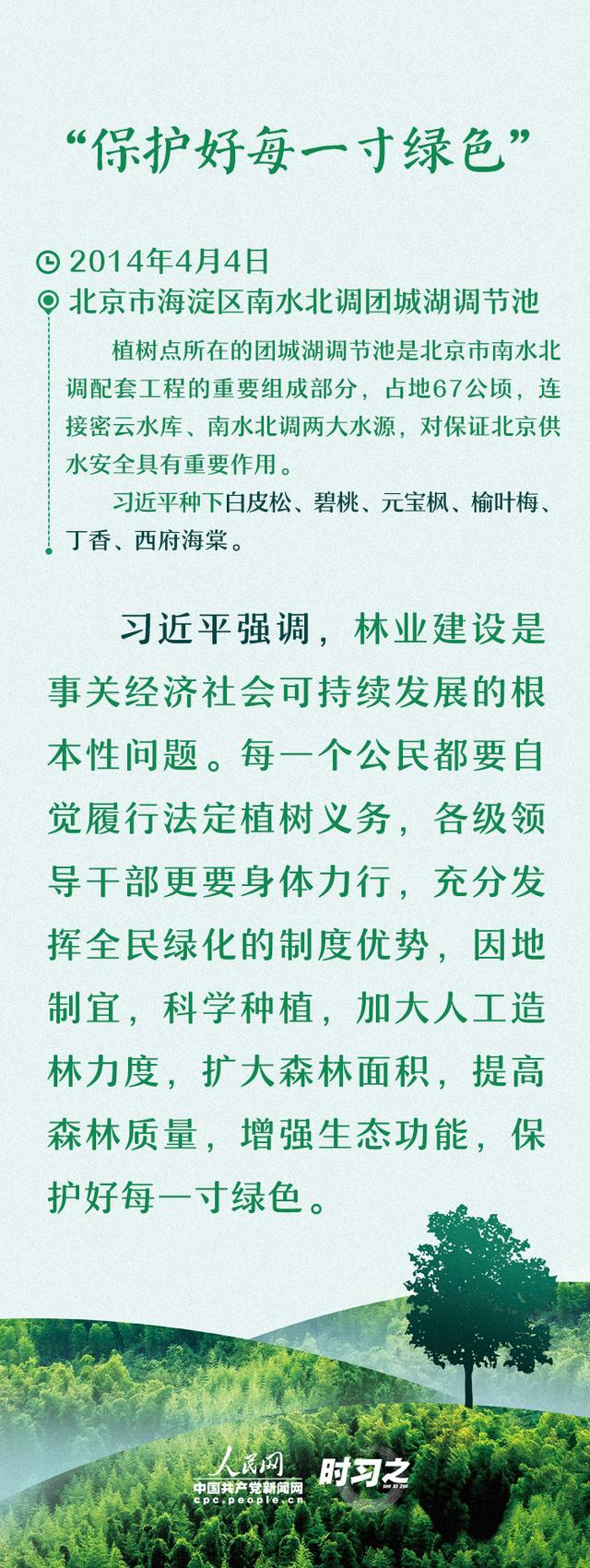 多种树 种好树 习近平厚“植”绿色期望