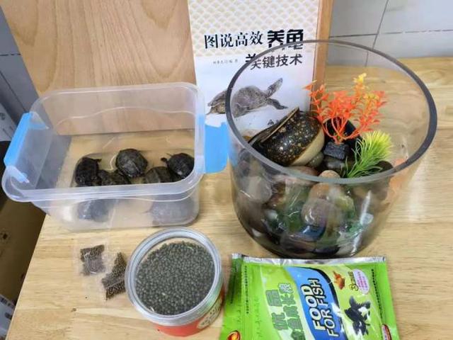 学校适合开什么店