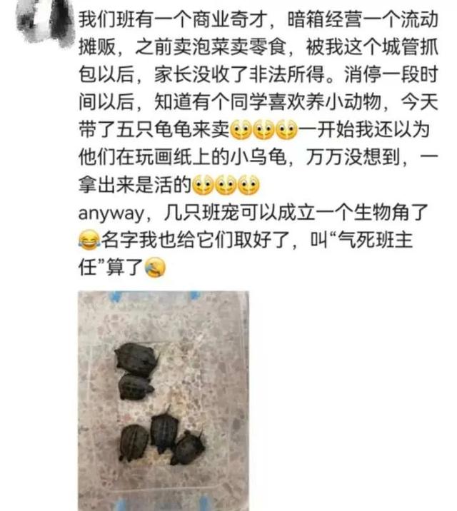 “气死”班主任！初中生在校创业竟在卖这些，还是活的……