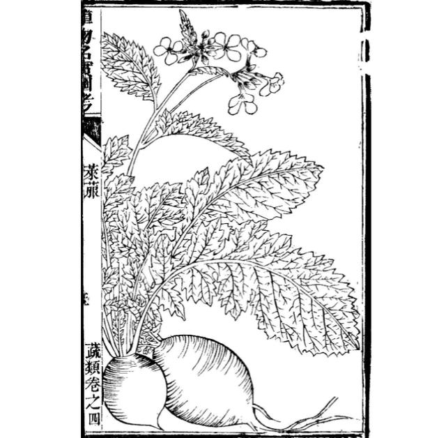 沈阳制砂机供应