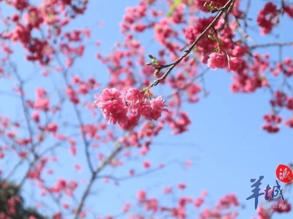 阳光动物医院