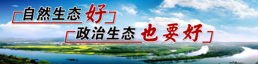 县委书记徐树斌在江湾镇人大代表联络站开展优化营商环境专题接待选民活动并督导重点工作