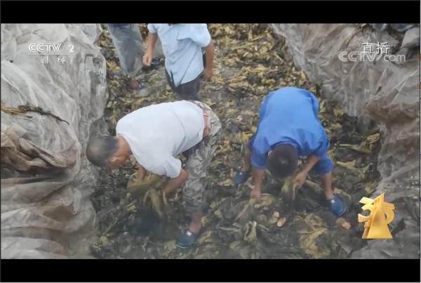 “土坑酸菜”被扒，背后的男人藏不住了