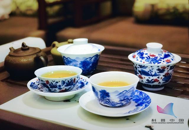 吃饱后该躺着、坐着，还是站着？医生给出了答案……