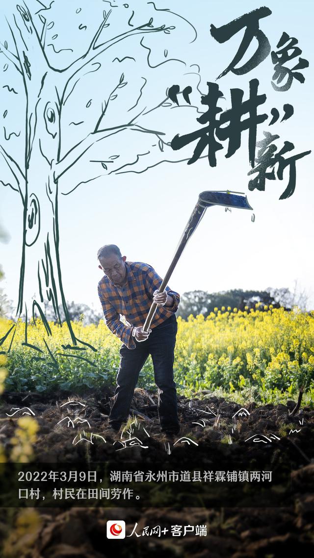 人勤春早，万象“耕”新