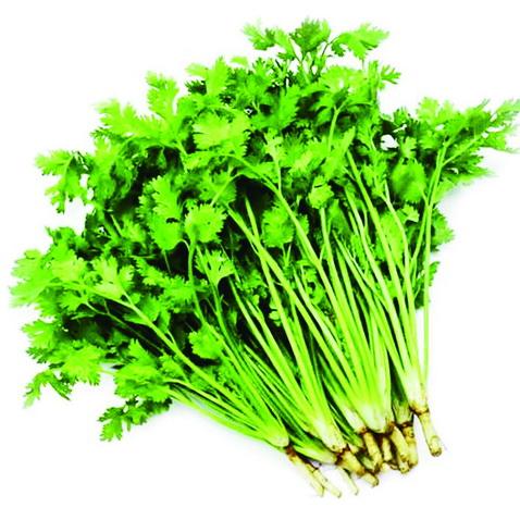 芫荽“心头爱”食用有禁忌 六类人少食或禁食
