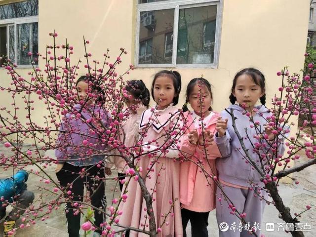 久盼春分至，不负春光不负己——山师大附小雅校开展春分课程