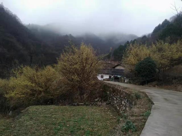 白色衣摆荡起的阵阵春风
