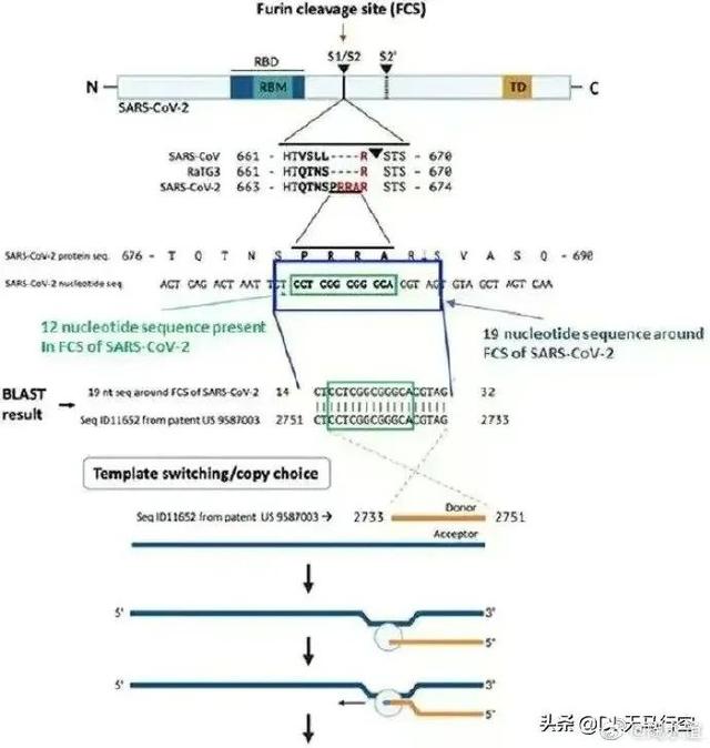 突发：英媒宣称，研究证实新冠病毒是美国公司制造