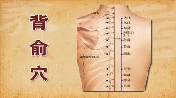 阳气不足百病生，春天巧用这穴位，对养阳大有益处