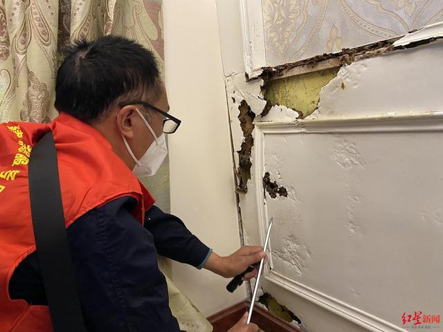 居民家踢脚线被蛀空！成都白蚁分飞期马上到，咋个申请灭蚁？
