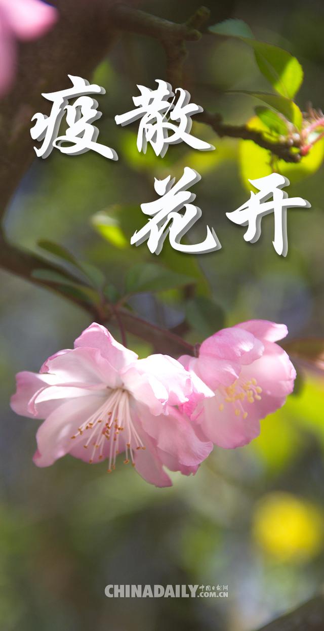 守“沪”有光：上海战“疫”十二时辰