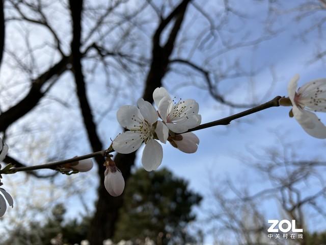 苹果手机新机什么时候上市  苹果什么时候出新机