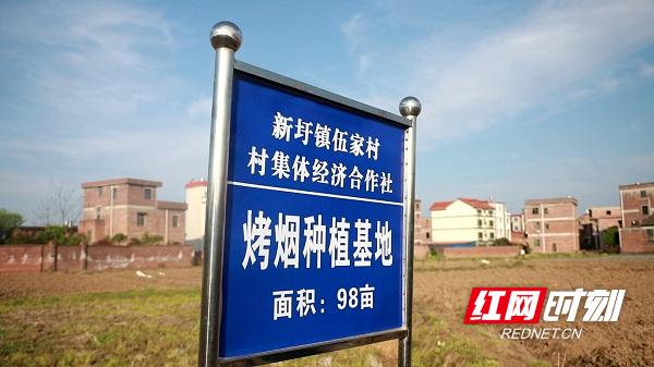 湖南新田：党支部领办合作社 壮大村集体经济