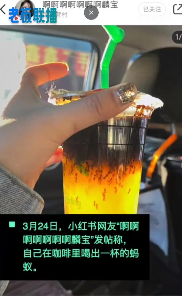 女子买咖啡到手一杯蚂蚁 店家回应