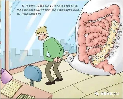 经常放屁是肝不好还是胃不好？屁多、屁臭多和这4个原因有关