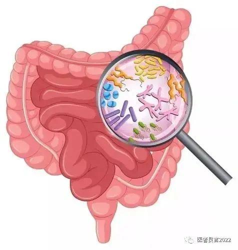 经常放屁是肝不好还是胃不好？屁多、屁臭多和这4个原因有关