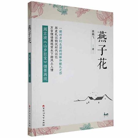 《燕子花》：资水下游乡村变革的一幅画卷