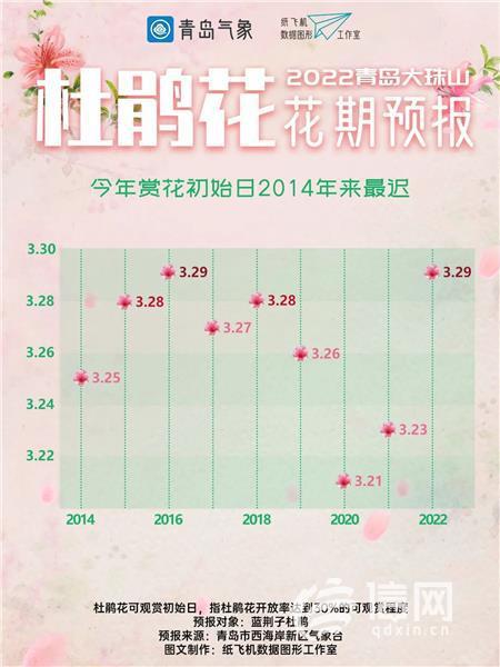 青岛大珠山杜鹃花迎来绽放时刻 预计可持续至5月下旬