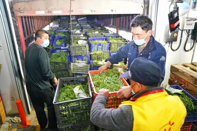 菜和爱一路向沪！跨越山海、星夜驰骋，上海谢谢大家1