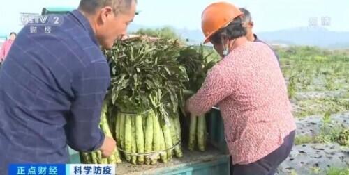 同心抗疫 全国多地紧急调集蔬菜等物资驰援上海