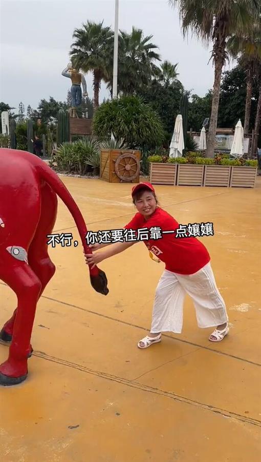 00后小伙“误入”老年旅游团6天：完美融入后成了半个导游